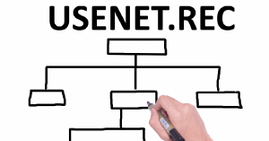 The USENET rec Hierarchy