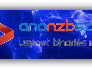 AnonNZBs Review