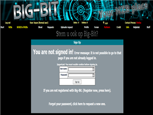 Big-Bit Review