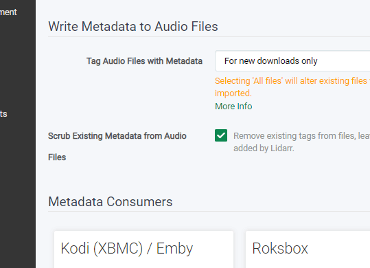 Lidarr Metadata Writing