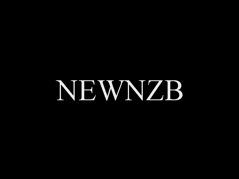 NewNZB Review
