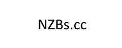 NZBS.cc Review