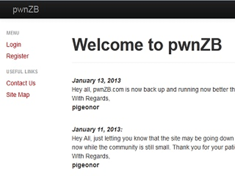 pwNZB.com Review