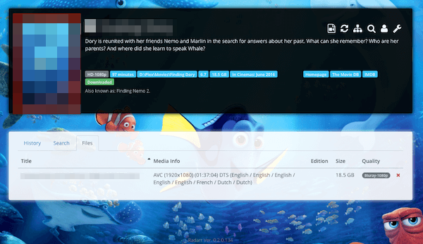 Radarr Complete File Info