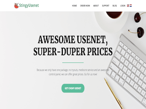 StingyUsenet Review