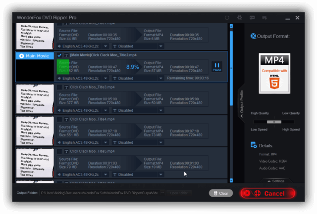 Wonderfox Dvd Ripper in Action